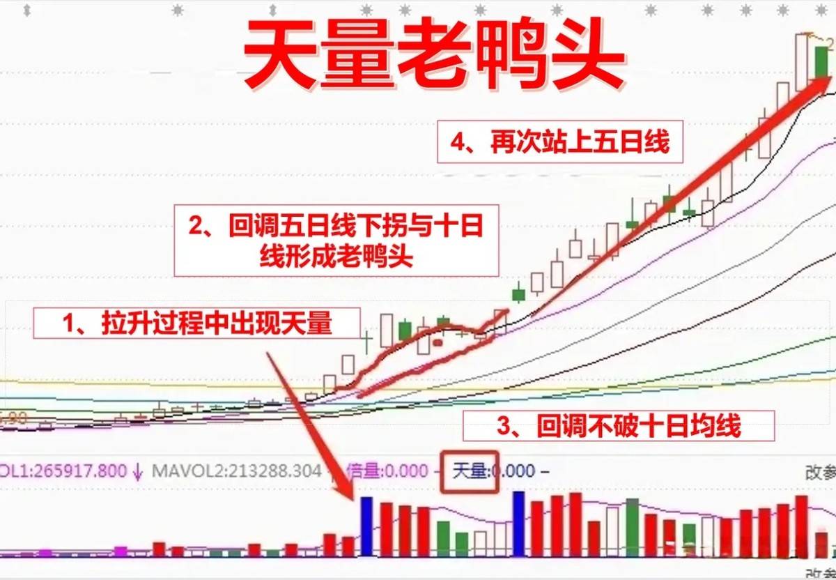 如果你决心炒一辈子股将炒股当成第二职业牢记天量老鸭头