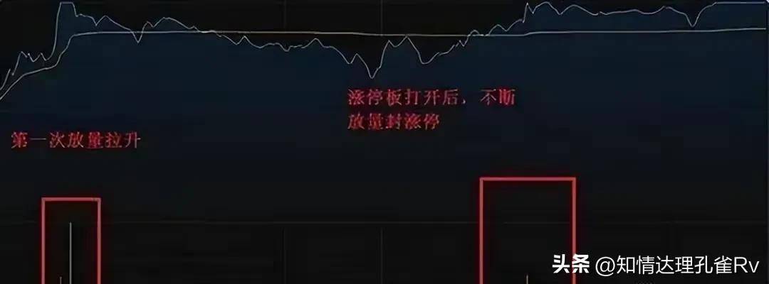A股这是我见过关于散户与交易透彻的文章看不懂请不要炒股！