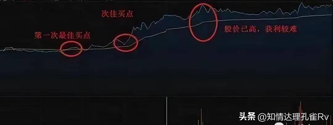 A股这是我见过关于散户与交易透彻的文章看不懂请不要炒股！