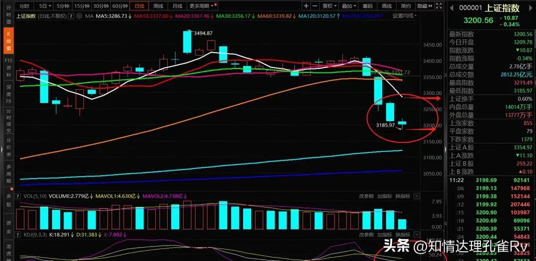 A股反弹了没量了股民不接飞刀！还需等待三个信号出现