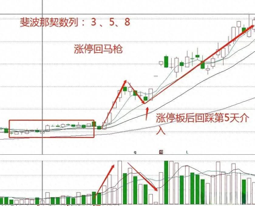 股海沉浮15年面对震荡行情我始终坚持运用涨停回马枪策略