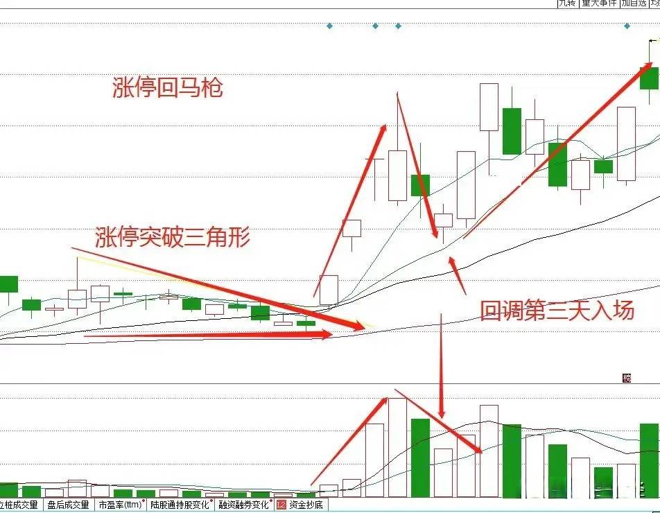股海沉浮15年面对震荡行情我始终坚持运用涨停回马枪策略