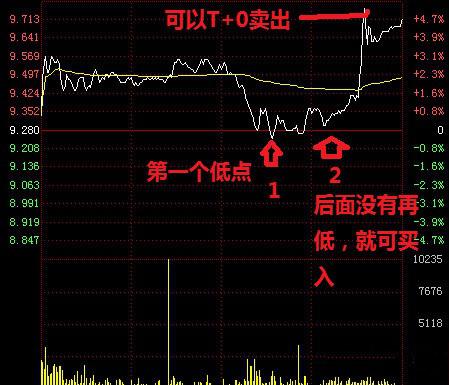数学系美女股神百战百胜的炒股绝技大揭秘！