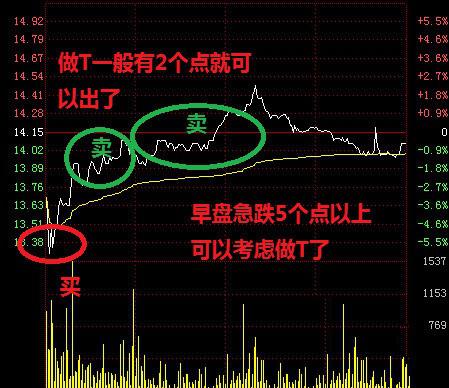 数学系美女股神百战百胜的炒股绝技大揭秘！