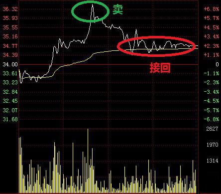 数学系美女股神百战百胜的炒股绝技大揭秘！