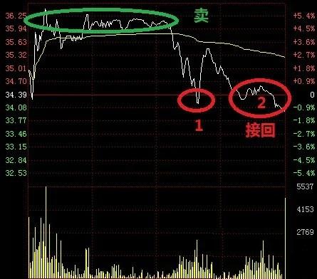 数学系美女股神百战百胜的炒股绝技大揭秘！