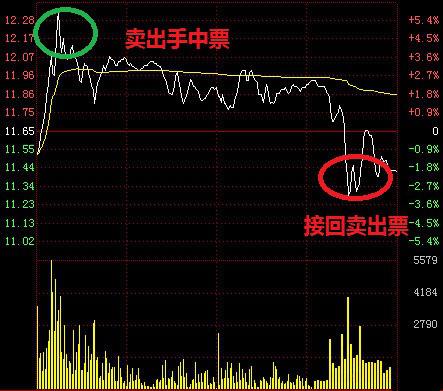 数学系美女股神百战百胜的炒股绝技大揭秘！