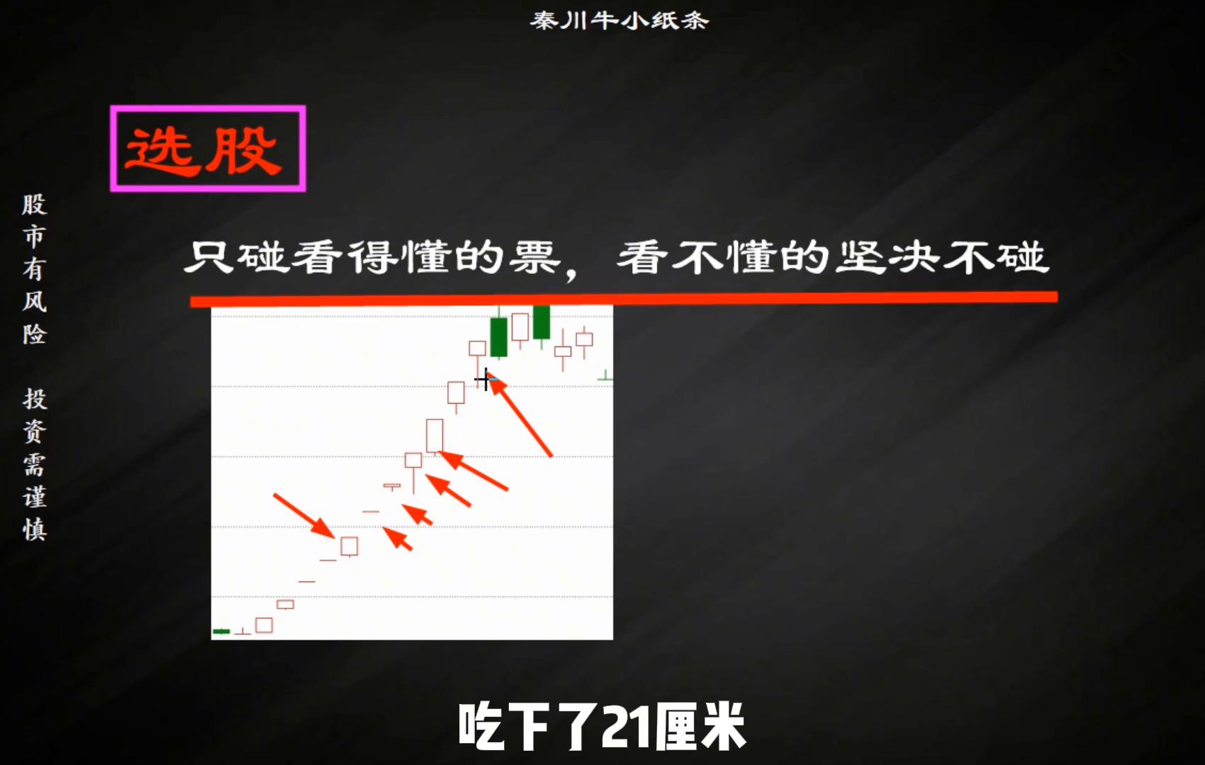 不颜不语如何从小白到T0级龍头选手