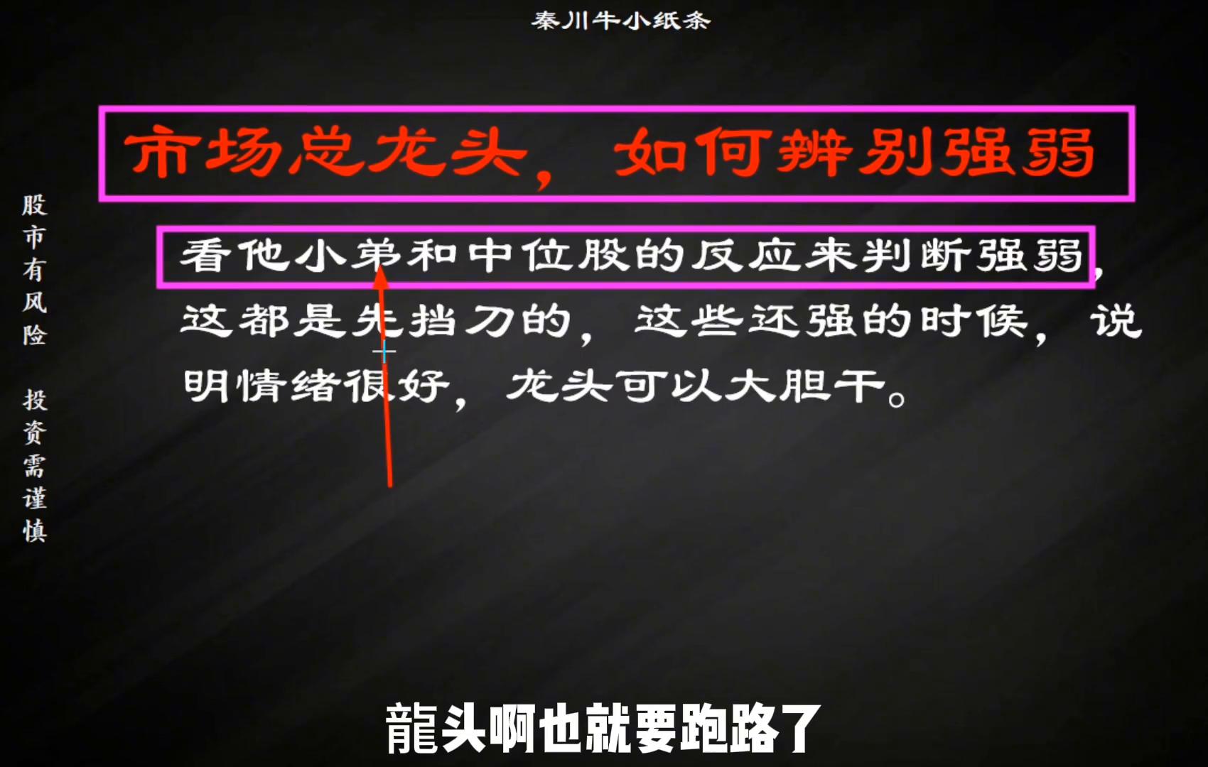 不颜不语如何从小白到T0级龍头选手