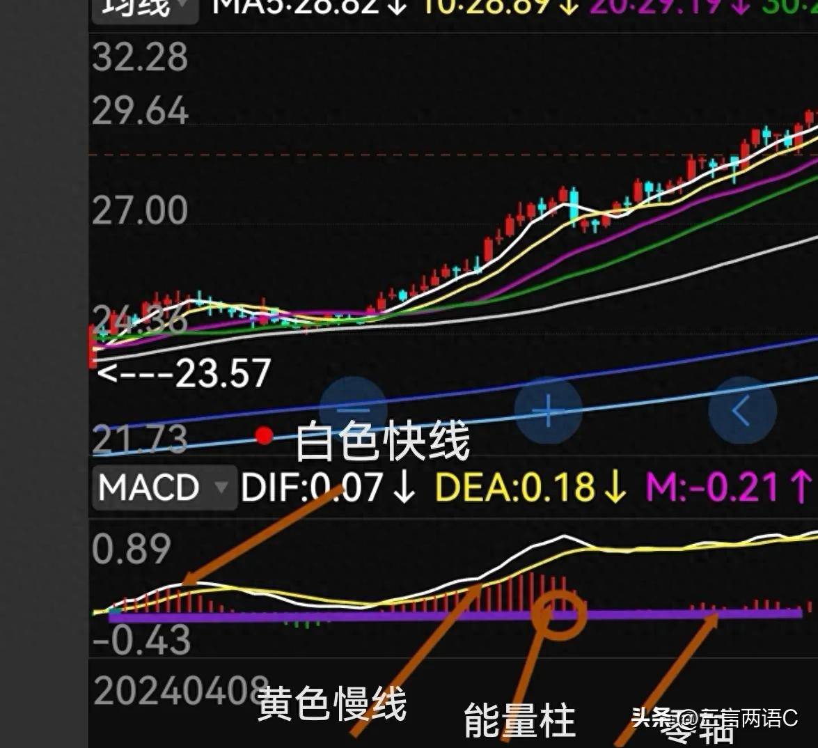 MACD指标如何应用
