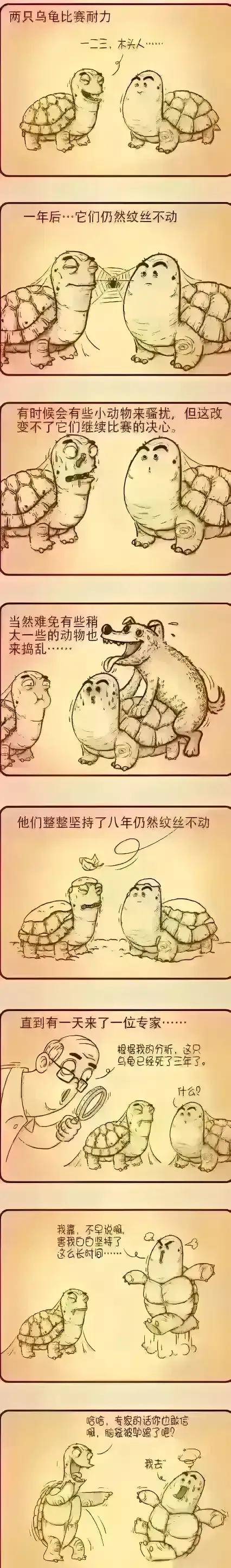 在股市里教你赚米的所谓投资顾问其实是赚你米最狠的人