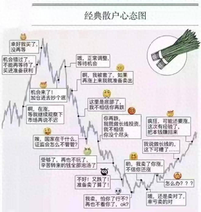 散户亏损的十大坏习惯你中招了吗