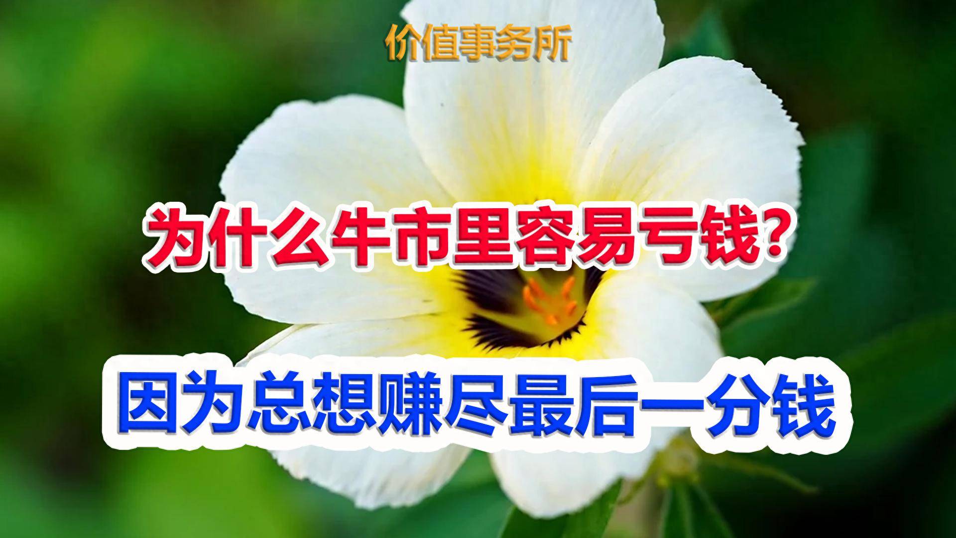 为什么牛市里容易亏钱？极少有人能说清楚这才是原因所在！