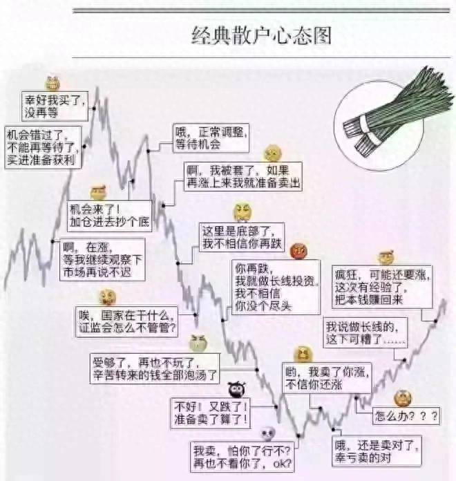 散户亏钱的十大坏习惯你中了几条？