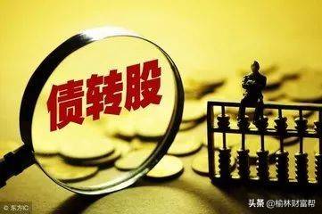 债转股的操作流程及参与方式