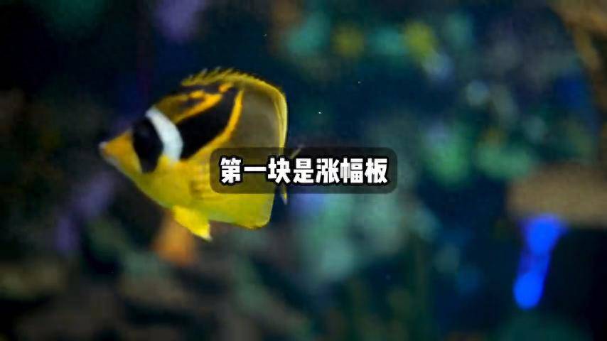 北京炒家语录如何打首板股票