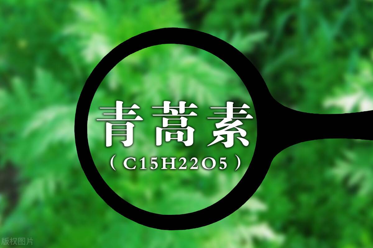 青蒿素概念板块个股活跃！青蒿素概念股票一览表