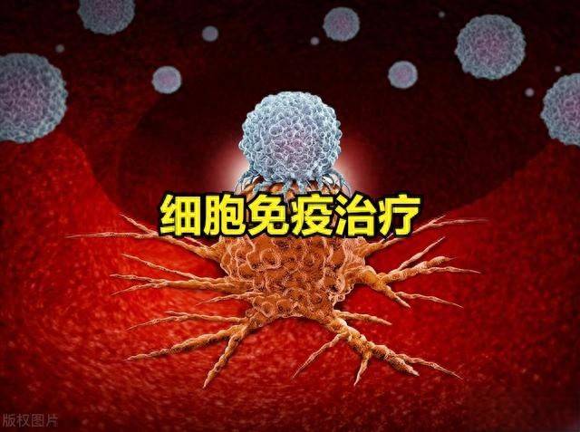 细胞免疫治疗概念股票爆发涨停潮！细胞免疫治疗概念股一览