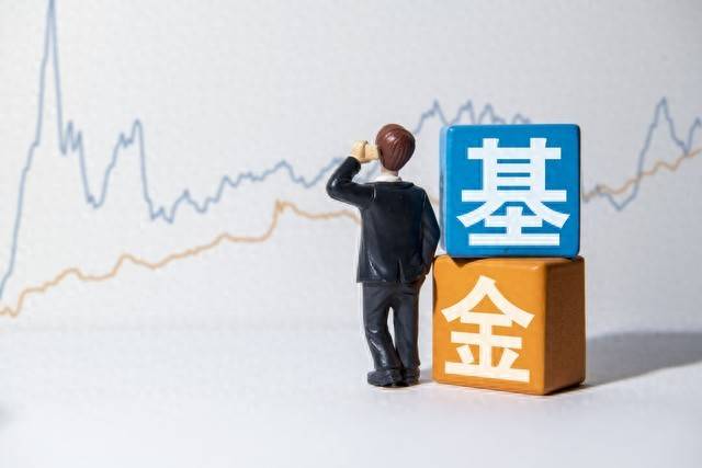 如何判断一只基金的风险水平？