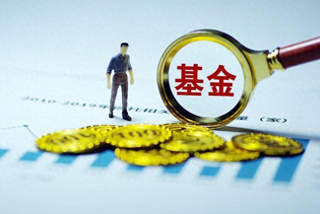 如何利用基金历史业绩数据进行投资决策？