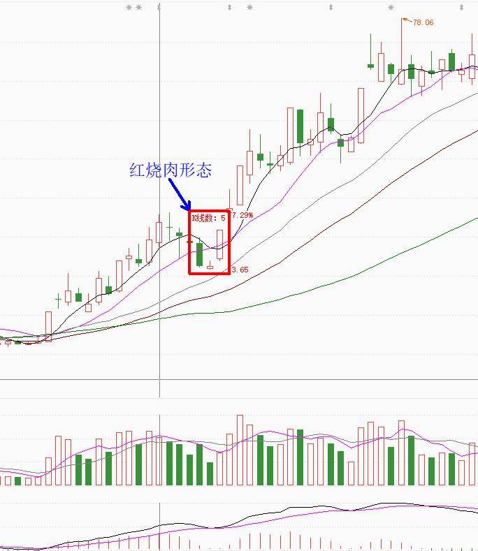 技术干货红绕肉形态讲解