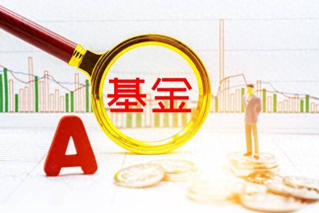 什么是指数什么是指数型股票基金