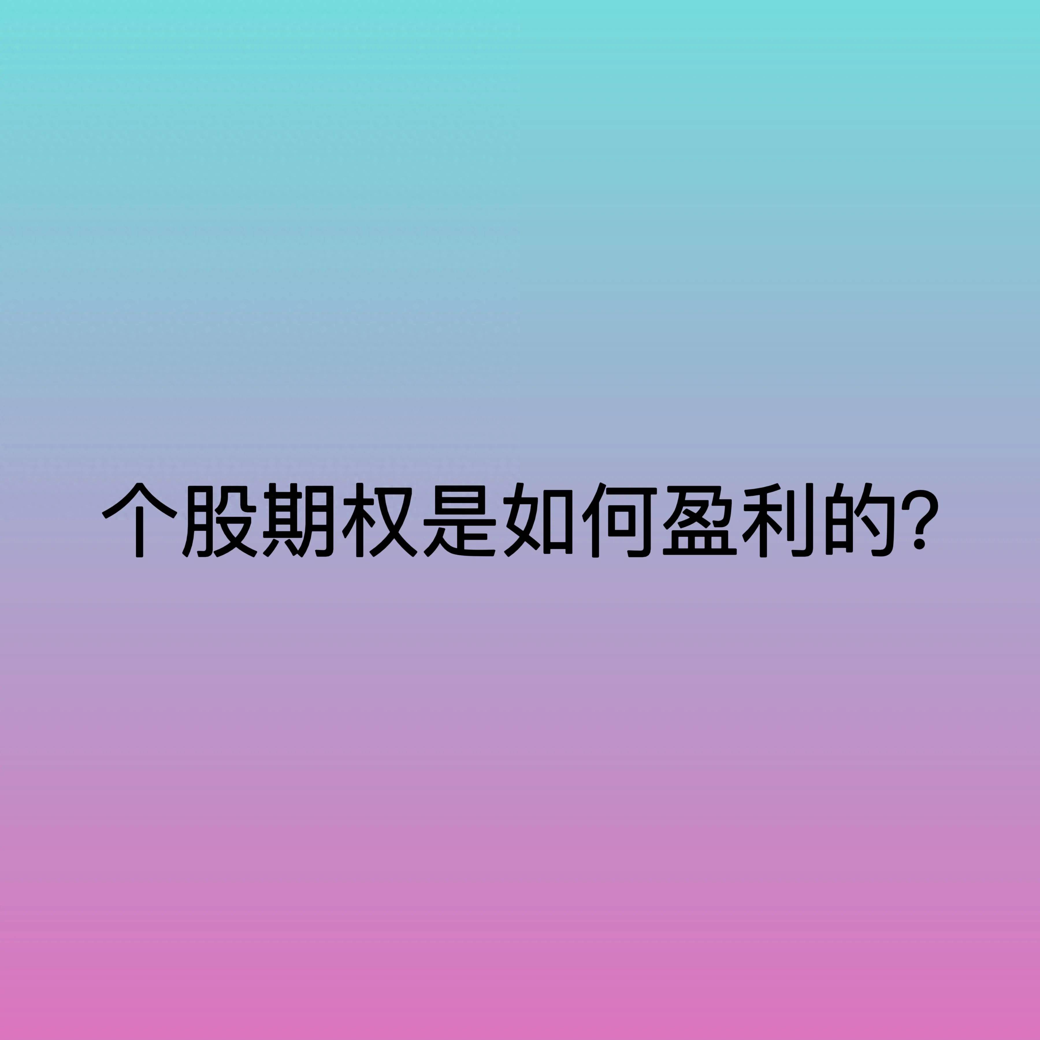 个股期权是如何盈利的？