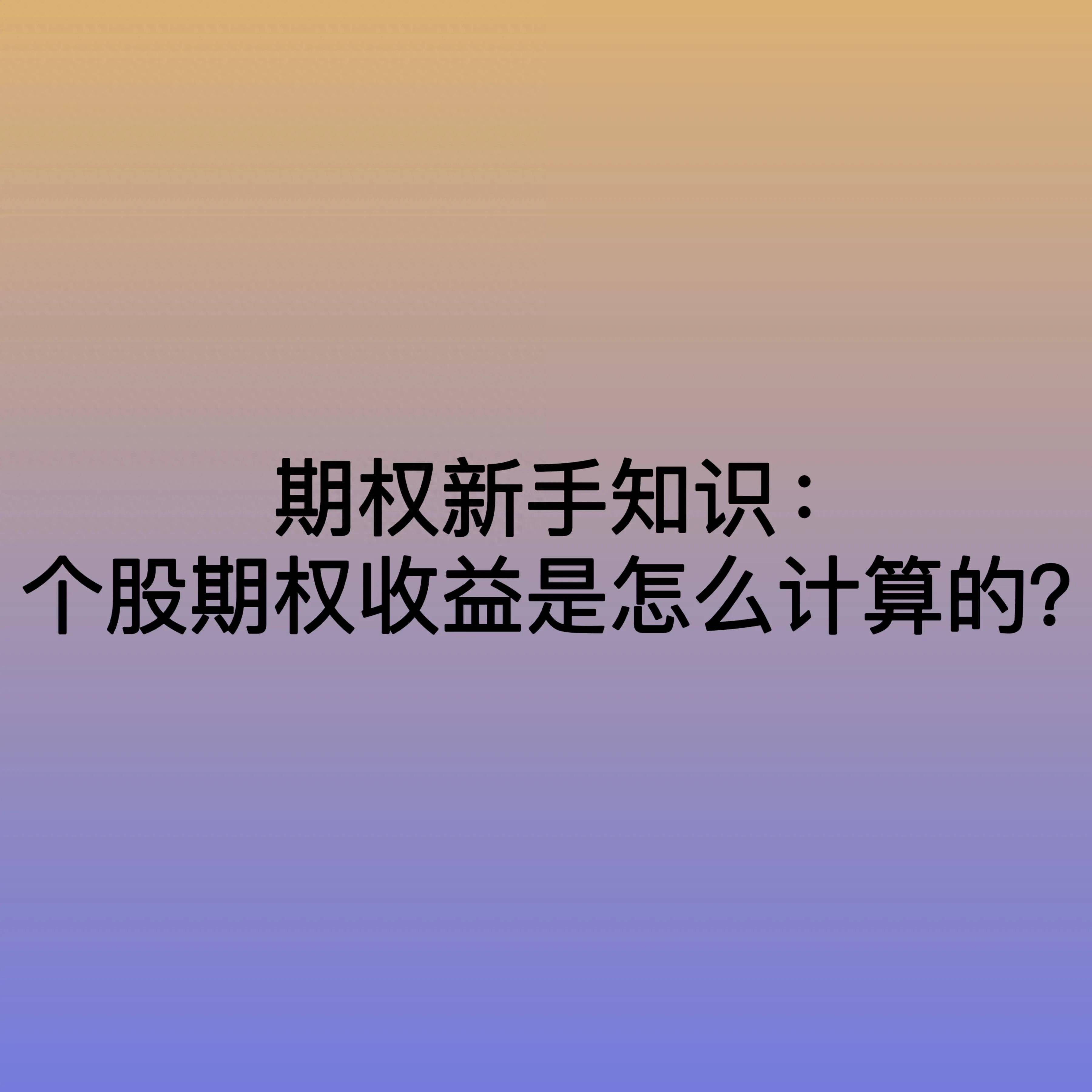 期权新手知识个股期权收益是怎么计算的？