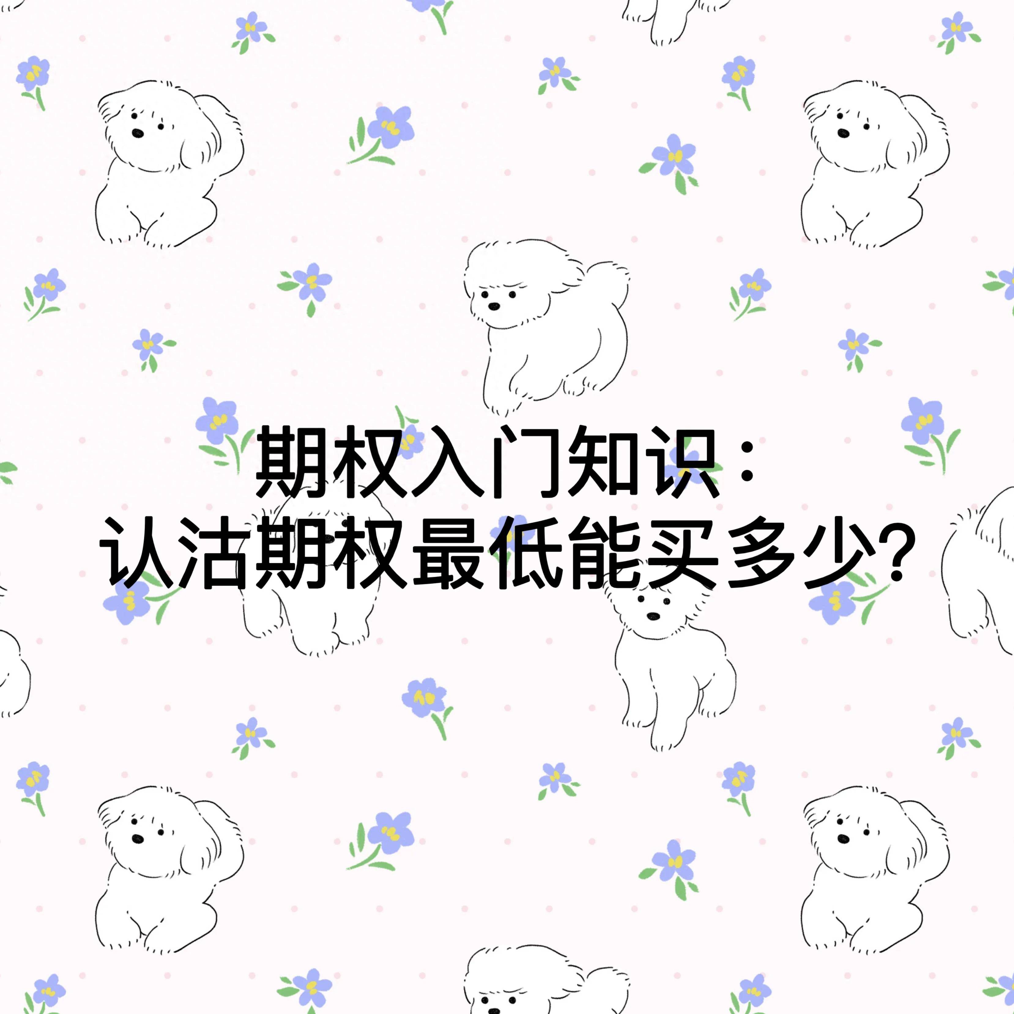 期权入门知识认沽期权最低能买多少？