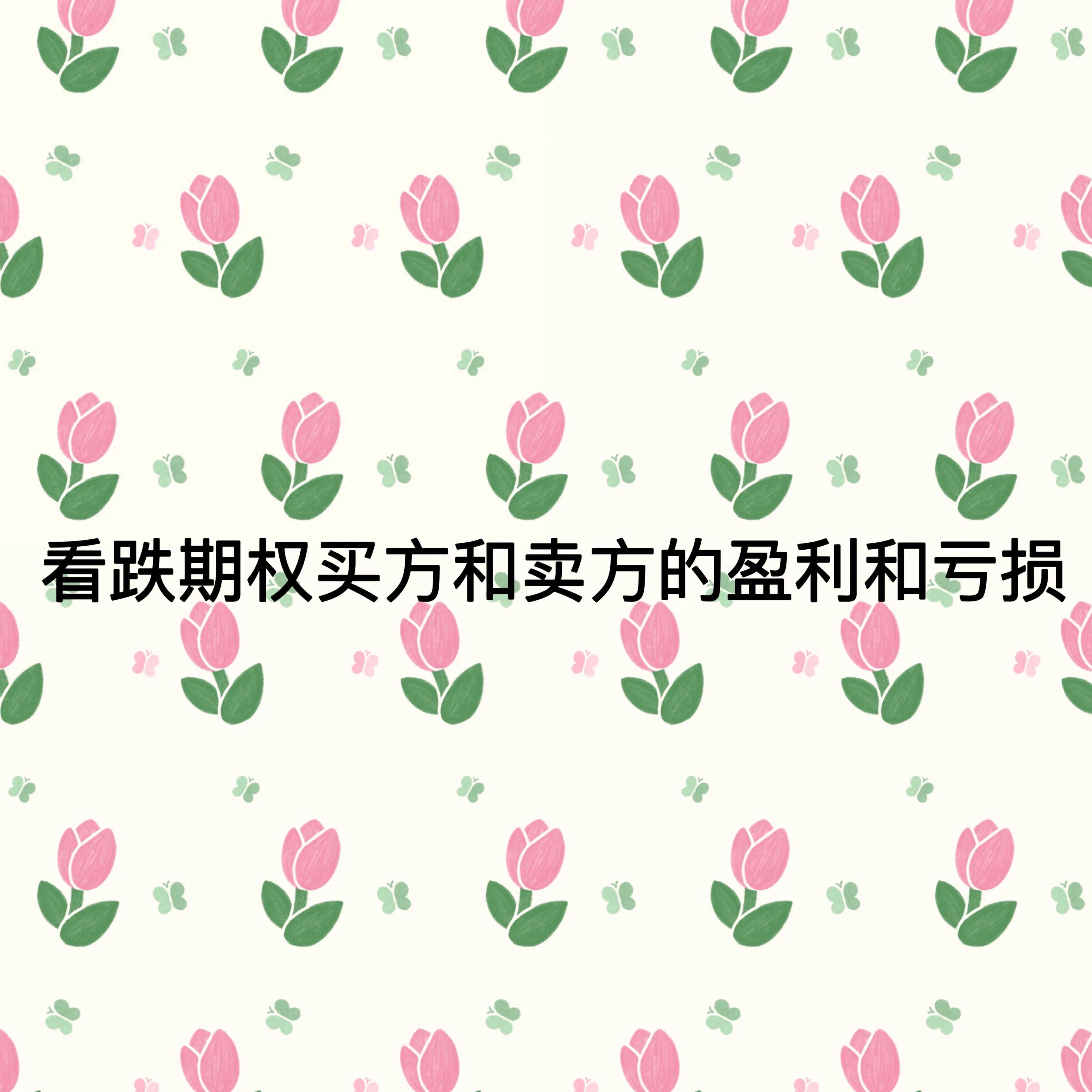 一文带你了解看跌期权买方和卖方的盈利和亏损！