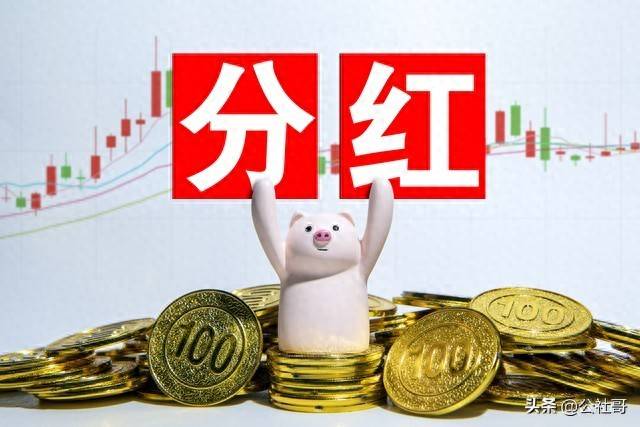 股市如何进行分红派息