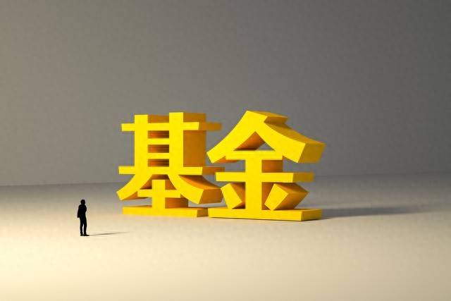 如何分析基金市场的波动趋势？