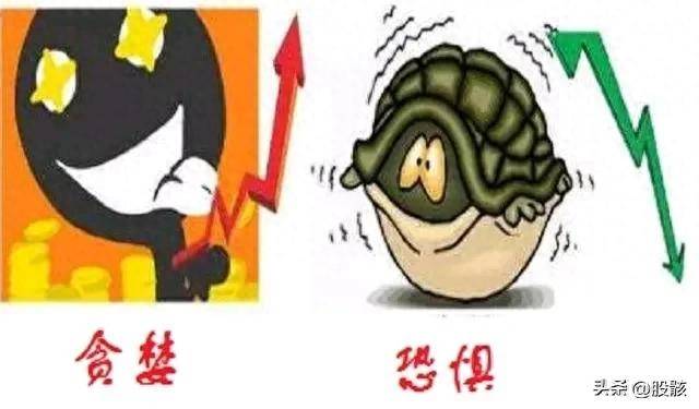 对应的趋势做对的操作