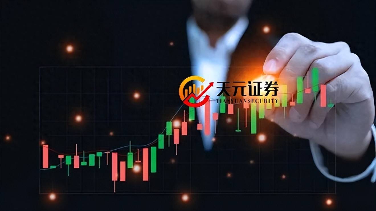 短线投资实战揭秘牛股背后的资金动向