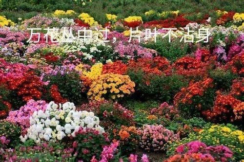 好股票具备哪些条件