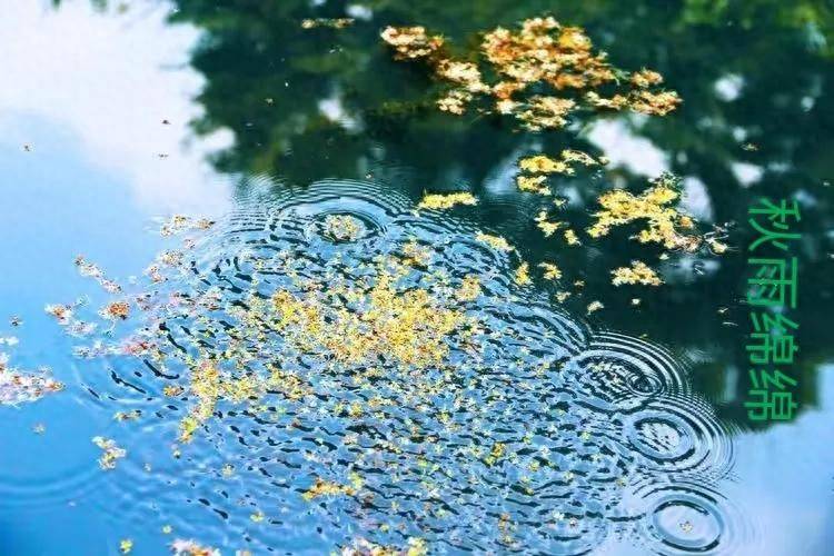 趋势交易策略