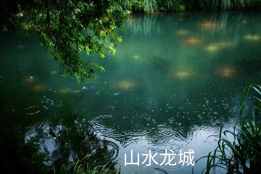 趋势跟踪