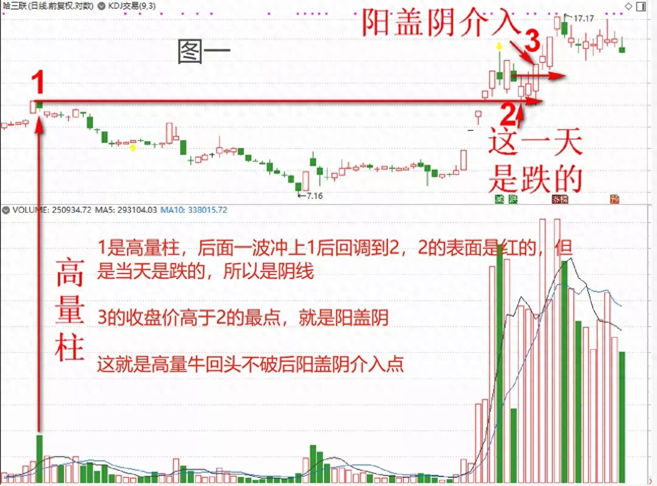阳盖阴介入
