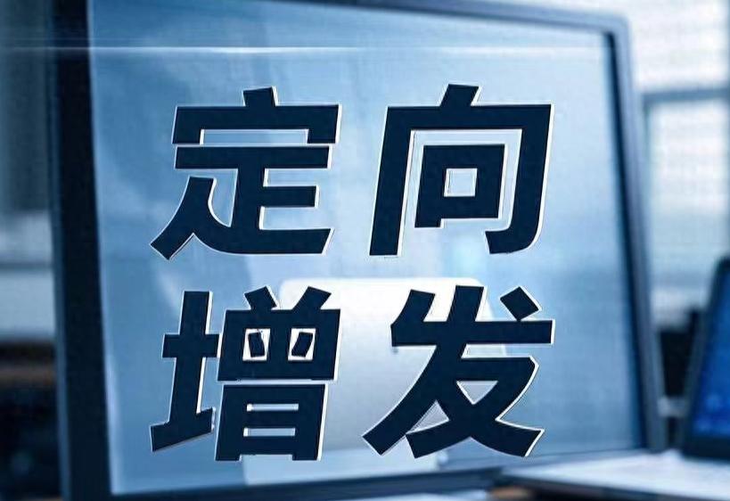 一文看懂定向增发