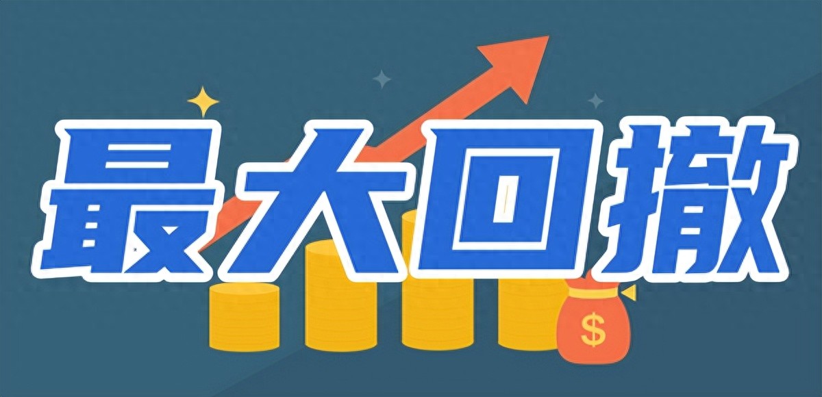 每天学一个金融知识最大回撤