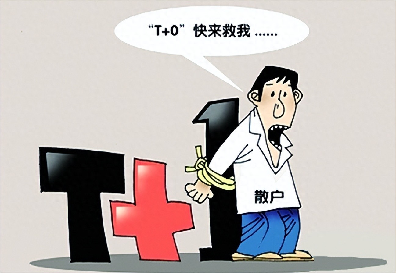 T0情况下散户最优策略是什么