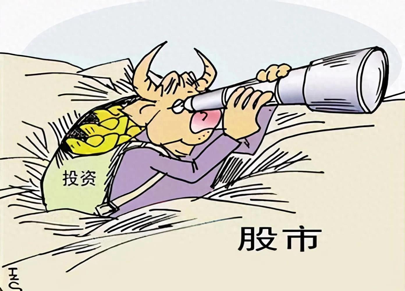 T0ETF逆袭指南小散绝地反击的五大黄金法则