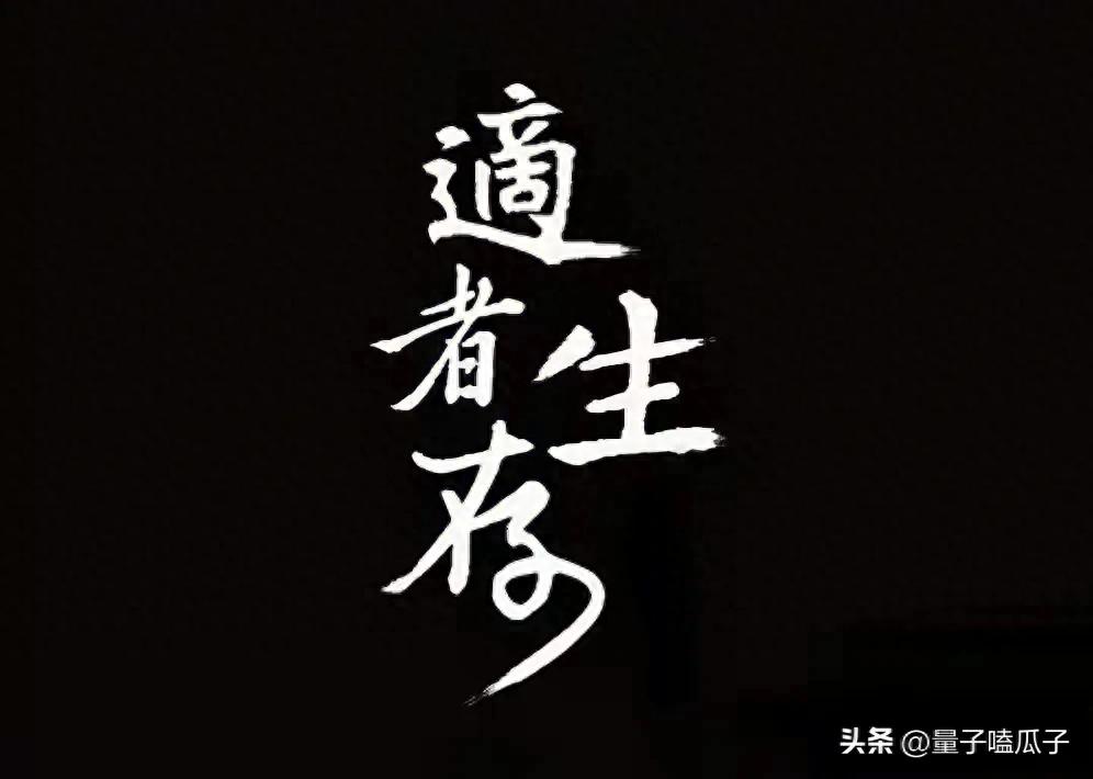 涨停的股票如何尝试买进？