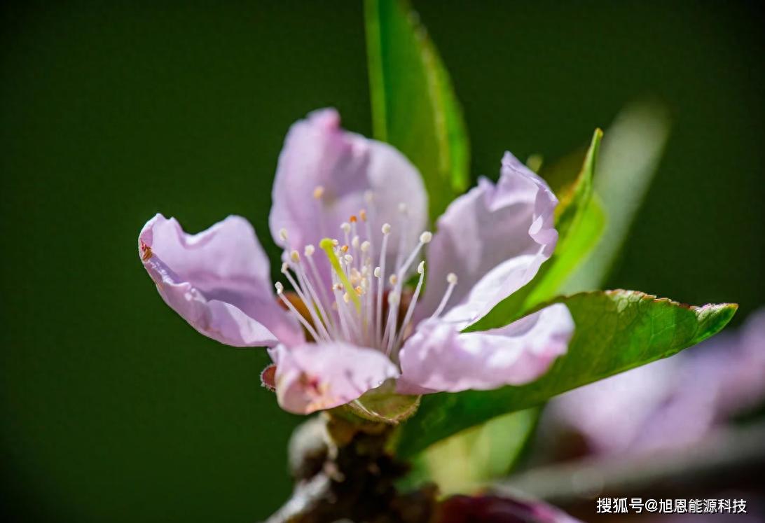 股指期货如何看多头还是空头？