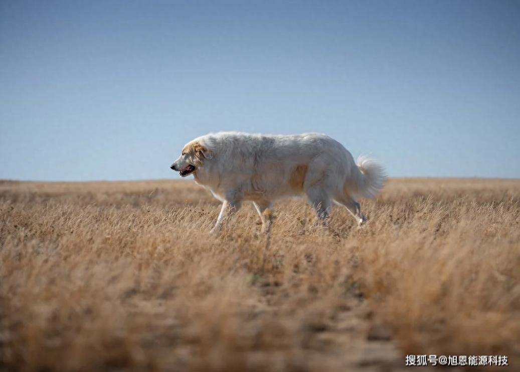 50ETF期权合约要素有哪些？
