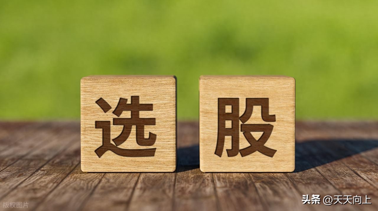 选票不用慌！掌握这4大维度精准锁定潜力股