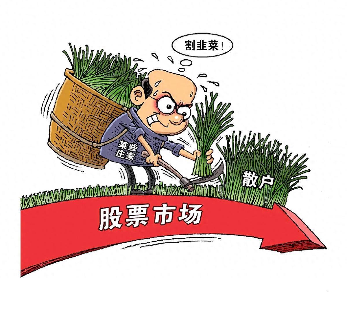 告别韭菜思维建立你的第一份股票投资体系。
