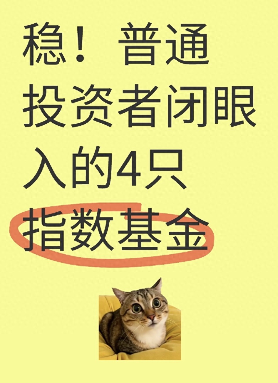 稳！普通投资者闭眼入的4只指数基金