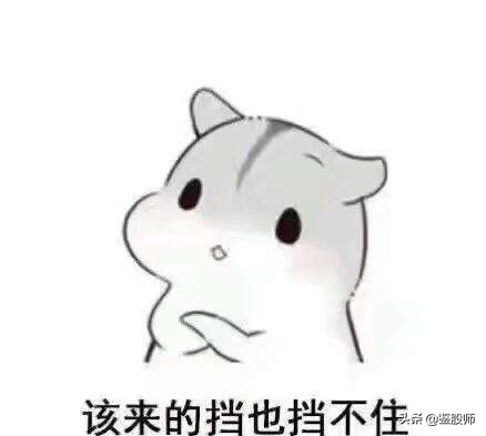 如果牛市真的来了什么样的操作最赚钱？