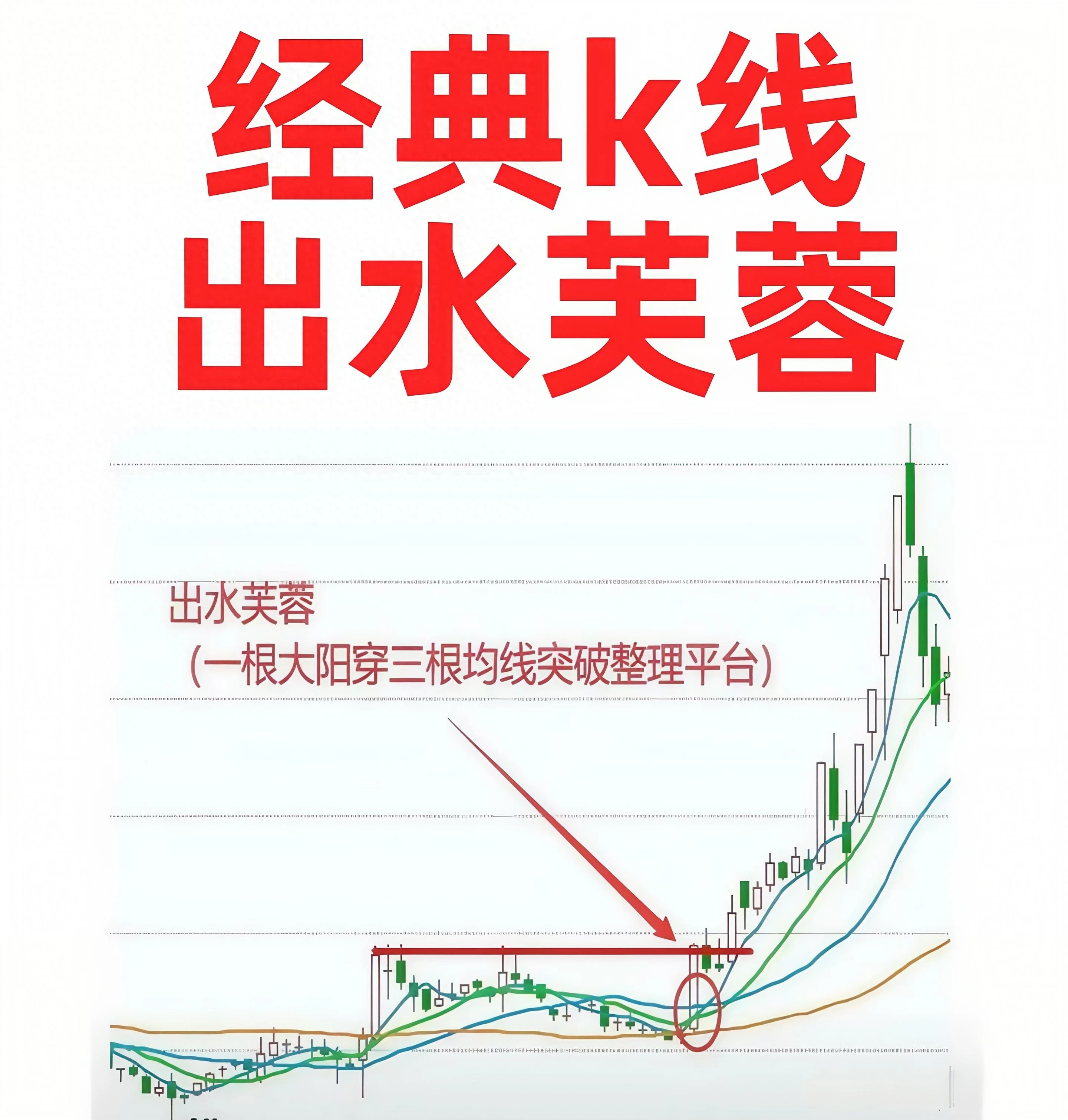 短线抄底出水芙蓉形态的进场法则